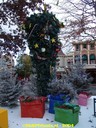 dsc01561.jpg