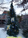dsc01562.jpg