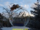 dsc01577.jpg