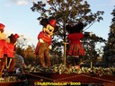 DSC05951.jpg