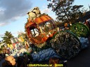 DSC05961.jpg
