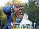 DSC05963.jpg
