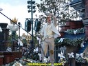DSC05978.jpg