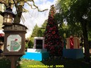 DSC05911.jpg