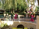 DSC05923.jpg