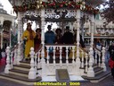 DSC05894.jpg