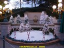 DSC06010.jpg