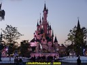 DSC06011.jpg