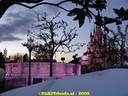 DSC06013.jpg