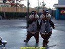 DSC05748.jpg
