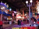 DSC05768.jpg