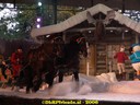 DSC09800.jpg