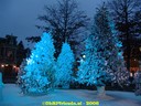 dsc09715.jpg