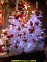 dsc09811.jpg