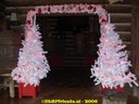 dsc09813.jpg