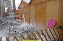 DSC04947.jpg