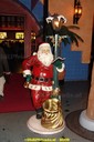 DSC07334.jpg