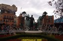 DSC07337.jpg