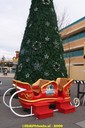 DSC07343.jpg