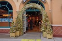 DSC07387.jpg
