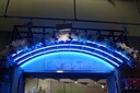 DSC06651.JPG