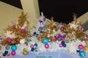 DSC06660.JPG