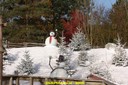 DSC07150.jpg