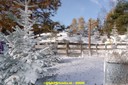 DSC07153.jpg