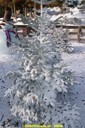 DSC07155.jpg
