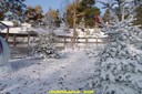 DSC07157.jpg