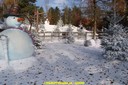 DSC07161.jpg