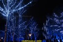 DSC07413.jpg