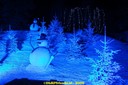 DSC07416.jpg
