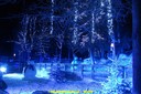 DSC07417.jpg