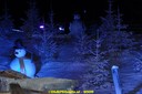 DSC07420.jpg