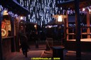 DSC07422.jpg