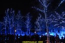 DSC07425.jpg