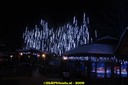 DSC07429.jpg