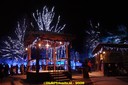DSC07432.jpg