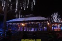 DSC07435.jpg