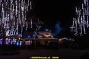 DSC07439.jpg