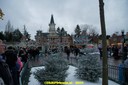 DSC08828.JPG