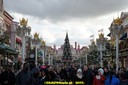 DSC08915.JPG