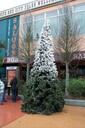dsc09205.jpg