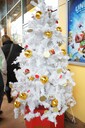 dsc09226.jpg