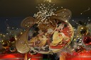 dsc09227.jpg