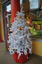 dsc09237.jpg