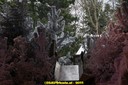 DSC09113.JPG