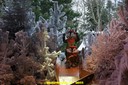 DSC09114.JPG