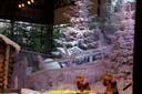 DSC09119.JPG